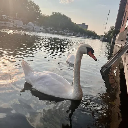 Willemsbrug Vista Schiedam
