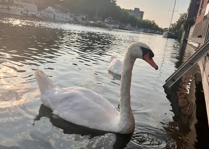 Willemsbrug Vista Schiedam